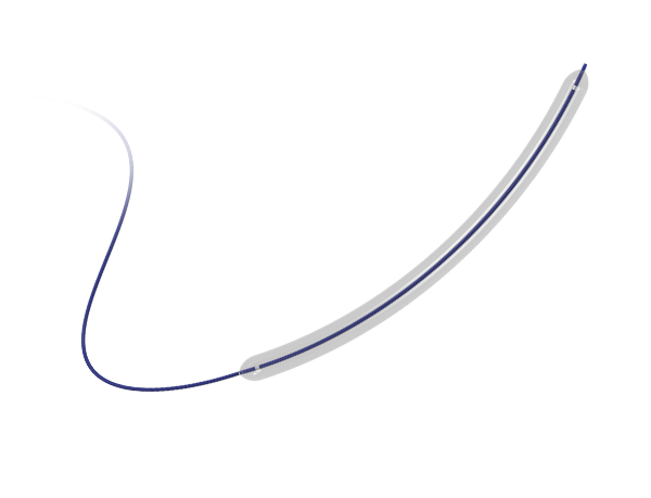 Ziloon™ Balloon Dilatation Catheter