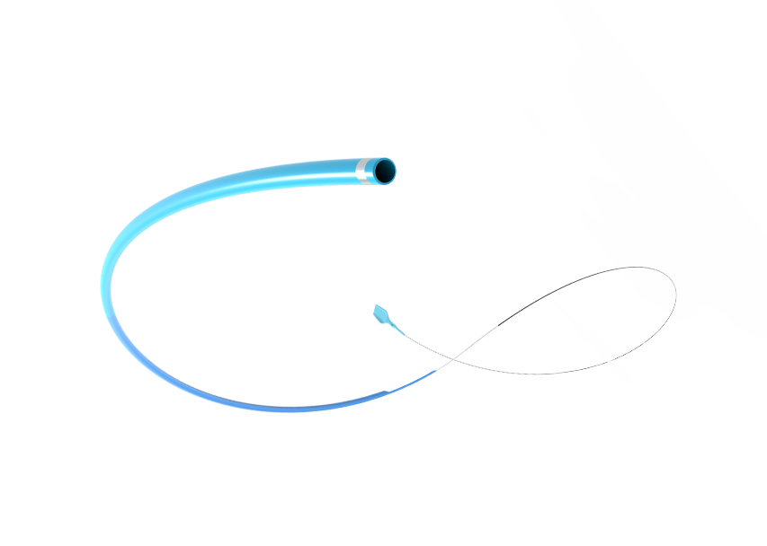 Trieste™ Extension Catheter
