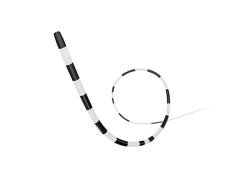 Crossona™ Support Catheter