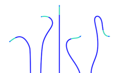Guiding Catheter