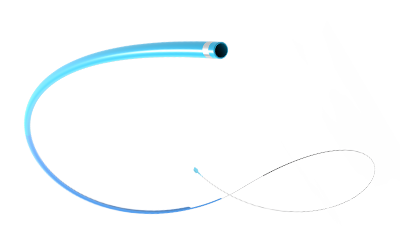 Extension Catheter