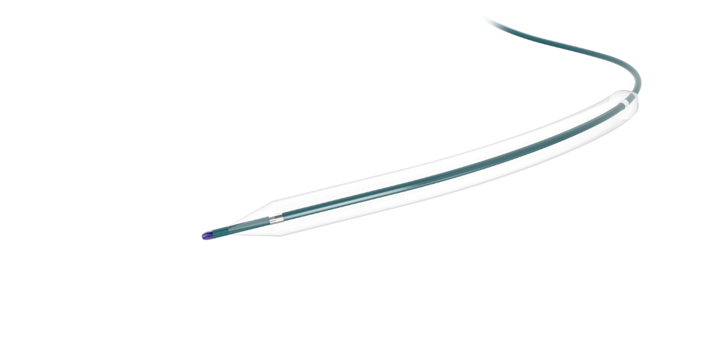 Ziloon™ NC Balloon Dilatation Catheter
